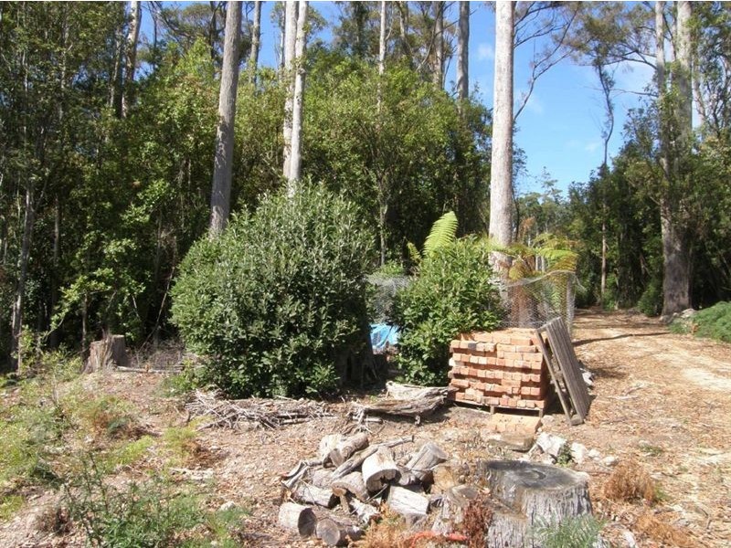 - Mt Victoria Road, Ringarooma TAS 7263