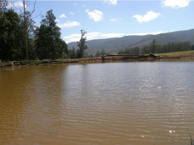 - Mt Victoria Road, Ringarooma TAS 7263