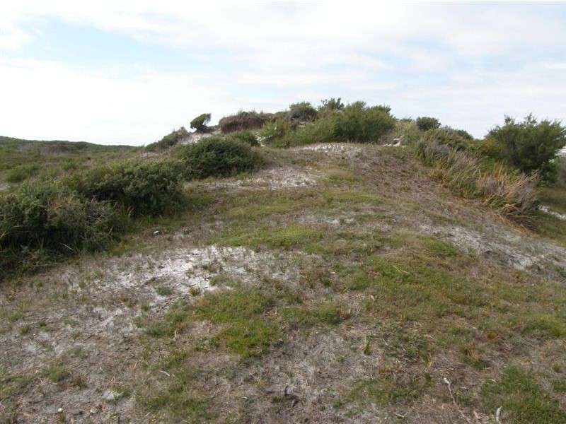 11 Cygnet Street, Musselroe Bay TAS 7264