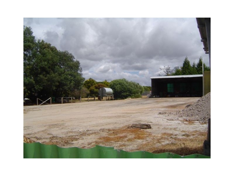 81 George Street, Scottsdale TAS 7260