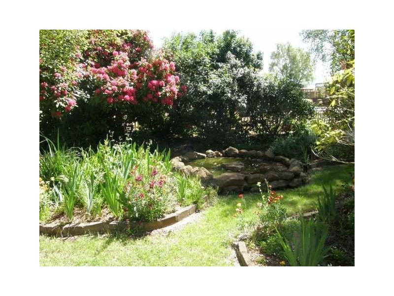 57 King Street, Scottsdale TAS 7260