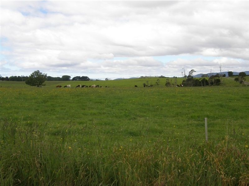 9 Banca Road, Winnaleah TAS 7265