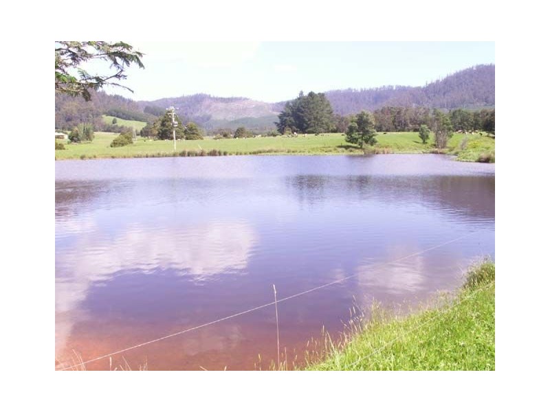 76 Whish Wilsons Road, Scottsdale TAS 7260