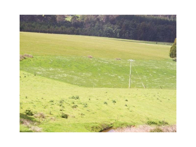 76 Whish Wilsons Road, Scottsdale TAS 7260