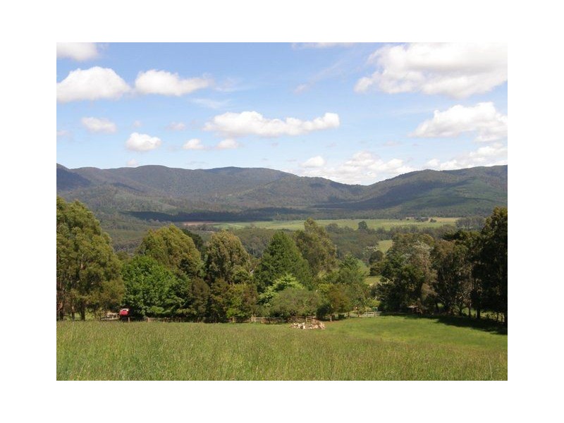 300 Forsyth Hill Road, Ringarooma TAS 7263