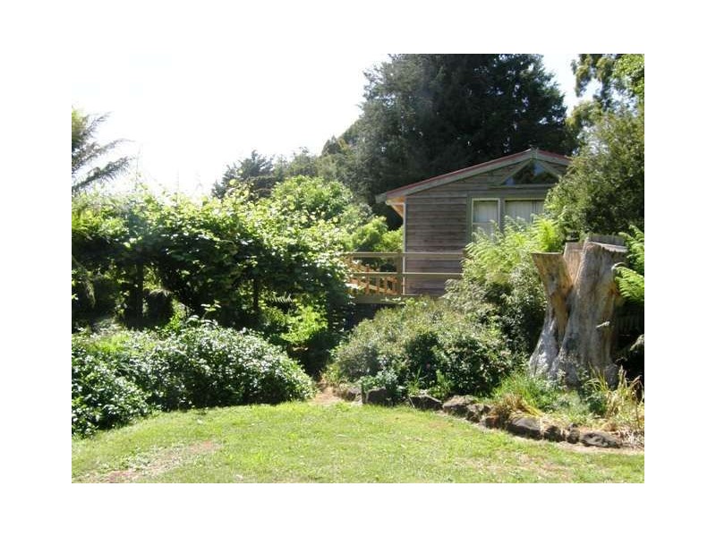 300 Forsyth Hill Road, Ringarooma TAS 7263