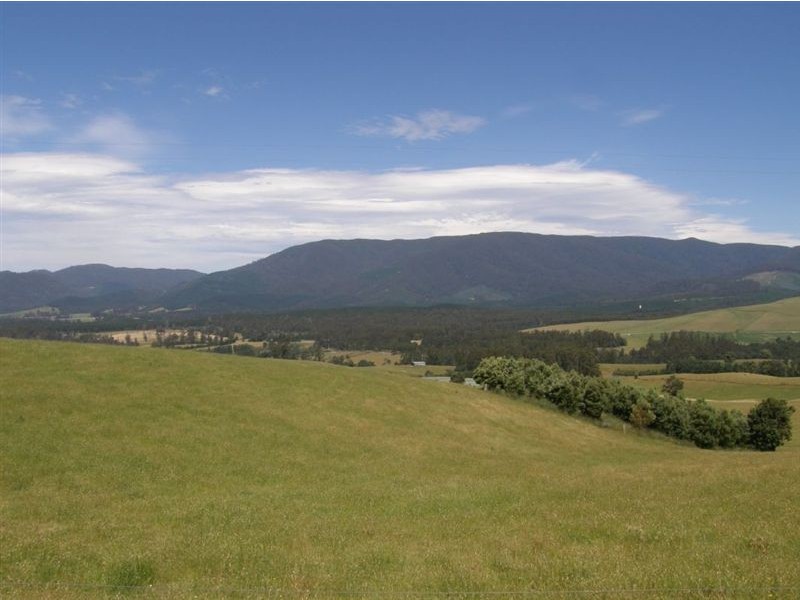 482 East Minstone Road, Scottsdale TAS 7260