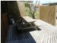 1 Carins Close, Tomahawk TAS 7262