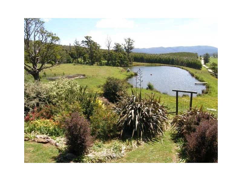 9 Barnett Road, Ringarooma TAS 7263