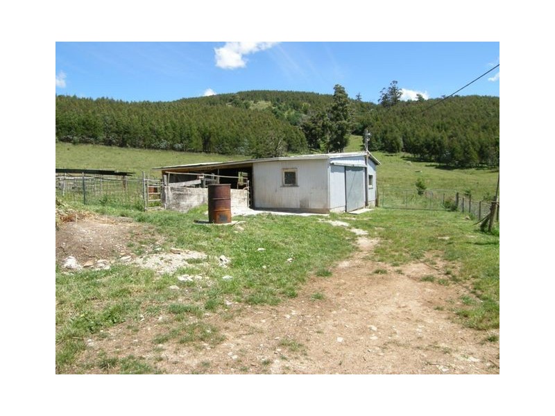 9 Barnett Road, Ringarooma TAS 7263
