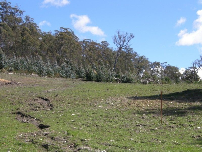 33808 Tasman Highway, Tulendeena TAS 7260