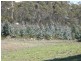 33808 Tasman Highway, Tulendeena TAS 7260