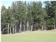 33808 Tasman Highway, Tulendeena TAS 7260
