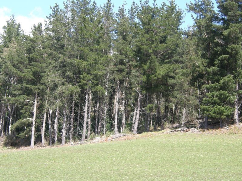 33808 Tasman Highway, Tulendeena TAS 7260