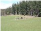 33808 Tasman Highway, Tulendeena TAS 7260