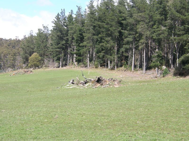 33808 Tasman Highway, Tulendeena TAS 7260