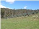 33808 Tasman Highway, Tulendeena TAS 7260