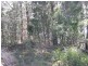 33808 Tasman Highway, Tulendeena TAS 7260
