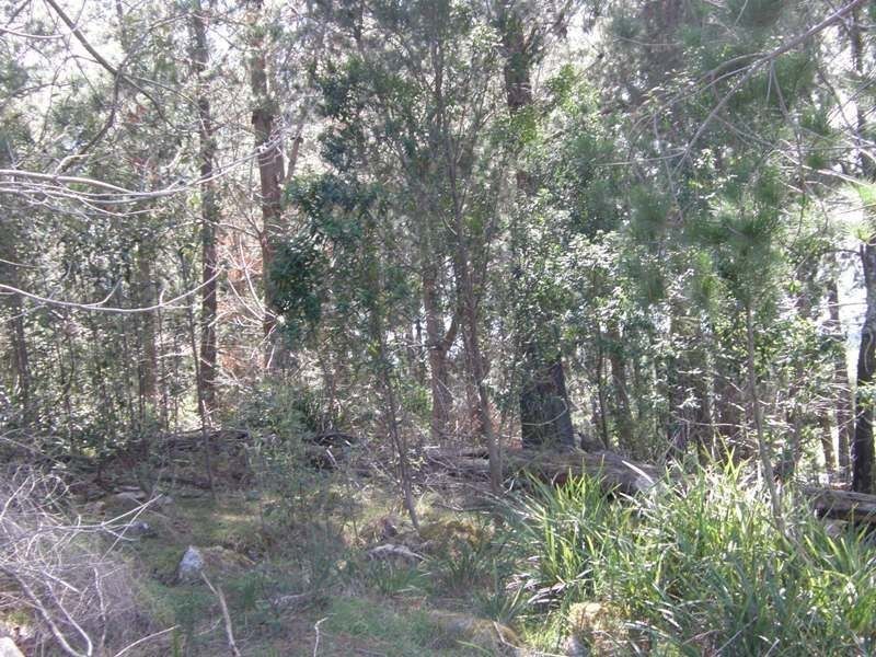 33808 Tasman Highway, Tulendeena TAS 7260