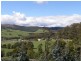 33808 Tasman Highway, Tulendeena TAS 7260
