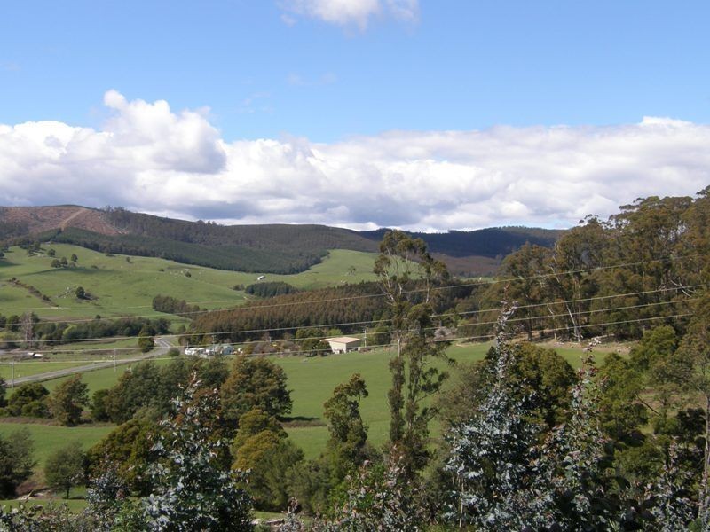 33808 Tasman Highway, Tulendeena TAS 7260