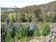 33808 Tasman Highway, Tulendeena TAS 7260