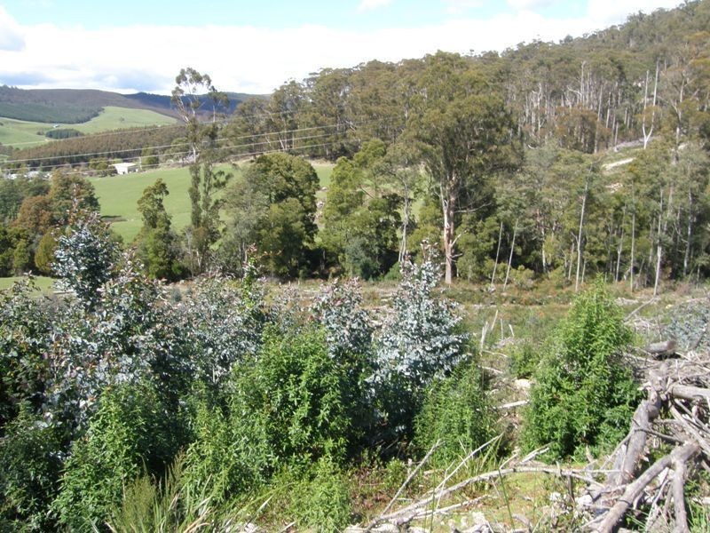 33808 Tasman Highway, Tulendeena TAS 7260