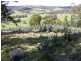 33808 Tasman Highway, Tulendeena TAS 7260