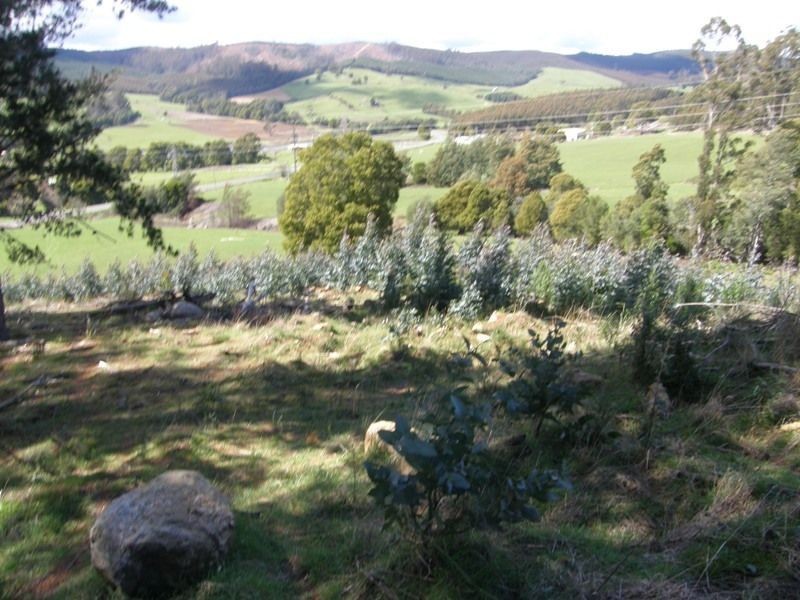 33808 Tasman Highway, Tulendeena TAS 7260