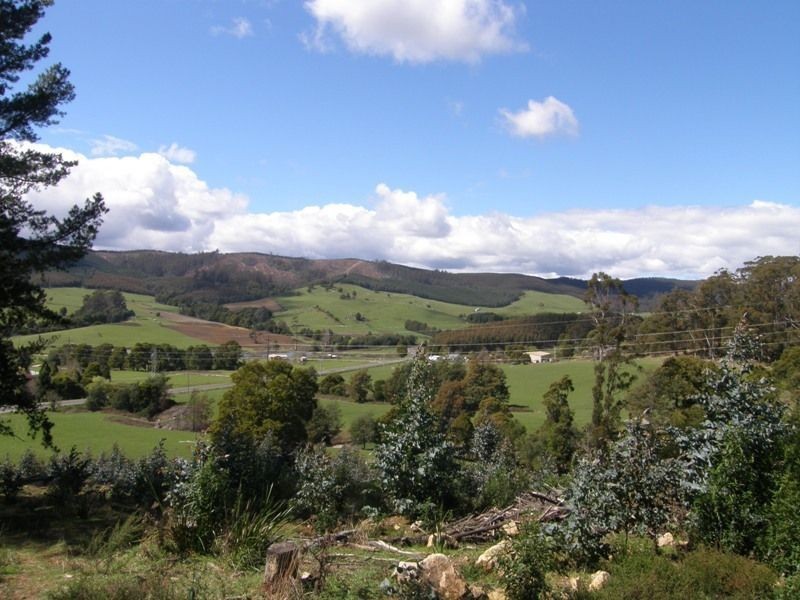 33808 Tasman Highway, Tulendeena TAS 7260