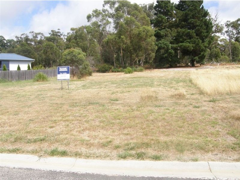 10a Andrews Place, Bridport TAS 7262