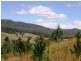 51 Station Road, Lilydale TAS 7268