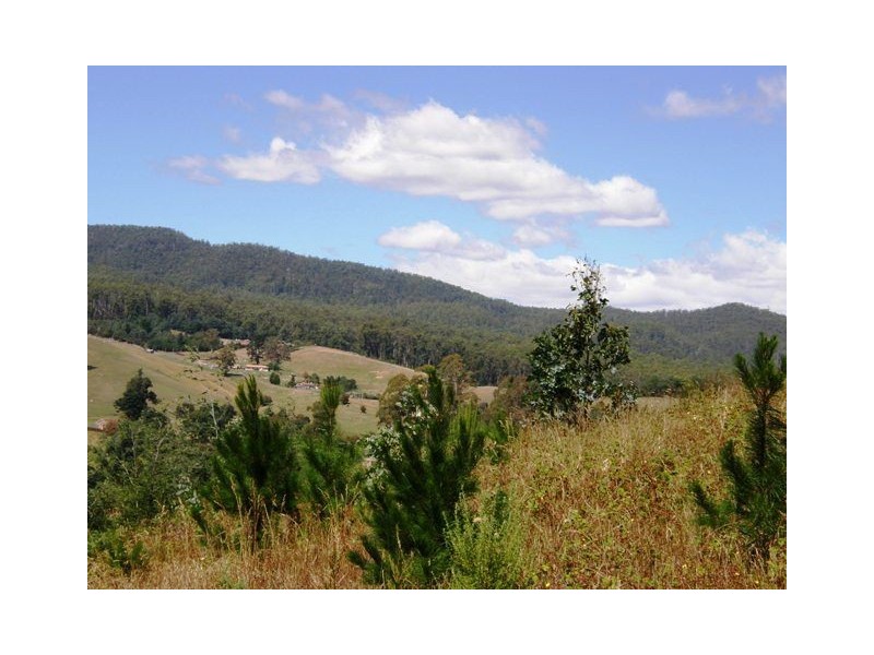 51 Station Road, Lilydale TAS 7268