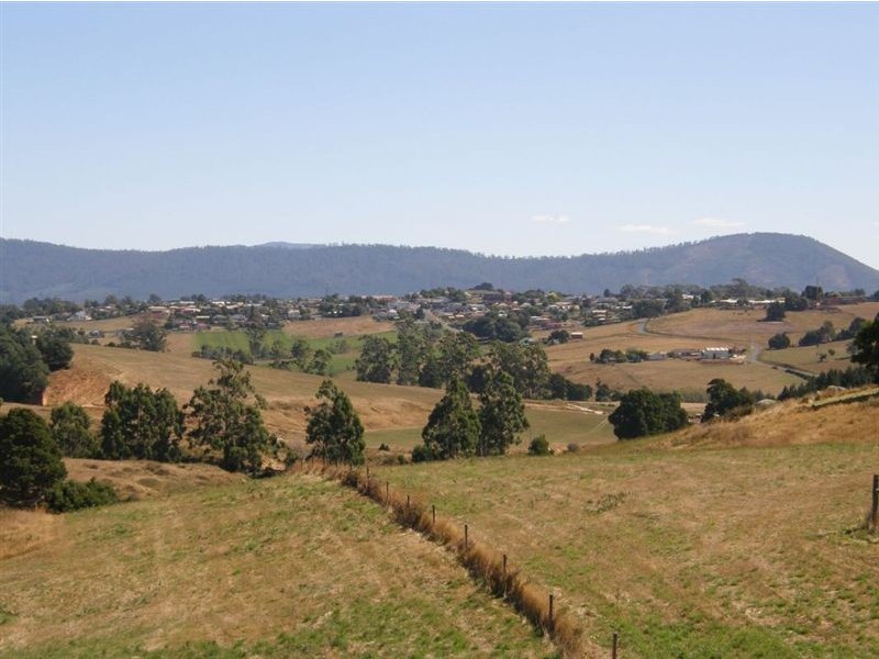 88 Williams Road, Scottsdale TAS 7260