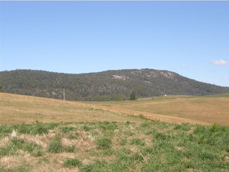 88 Williams Road, Scottsdale TAS 7260