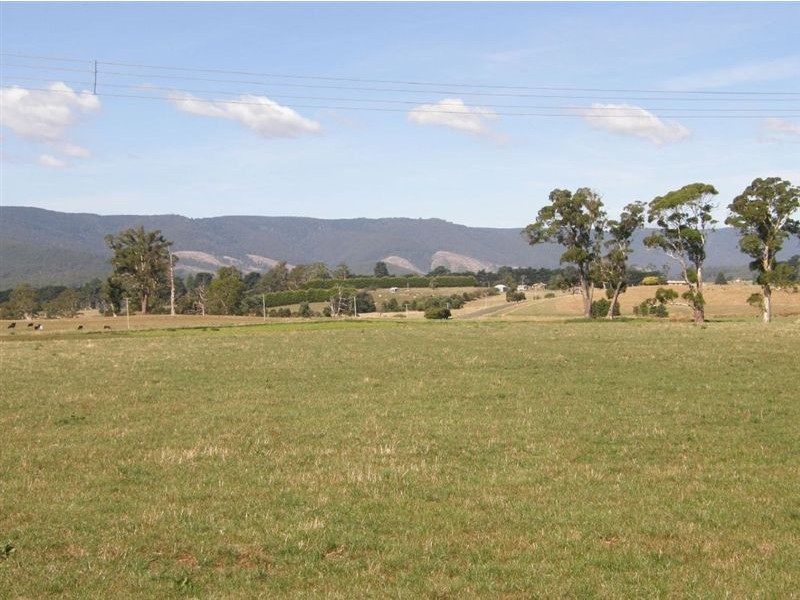 15 East Maurice Road, Ringarooma TAS 7263