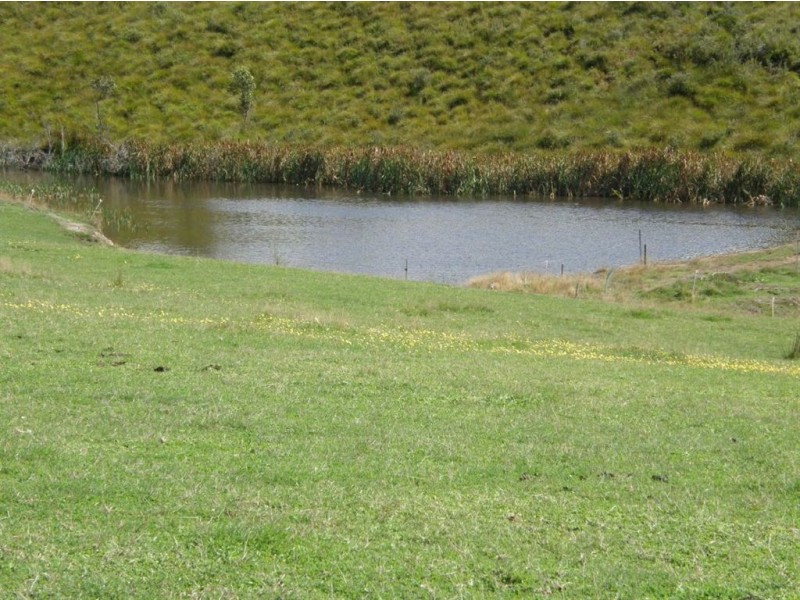 . Bridport Road, Bridport TAS 7262