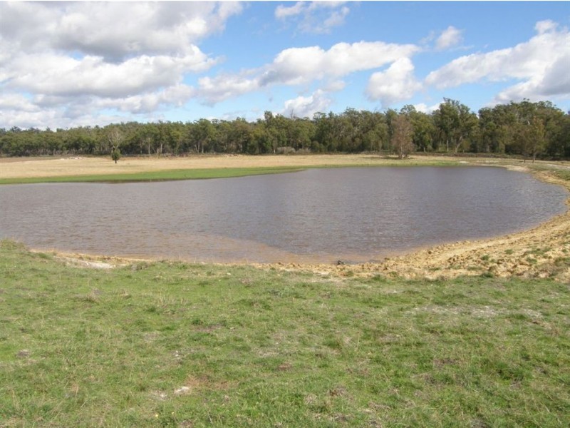 . Bridport Road, Bridport TAS 7262