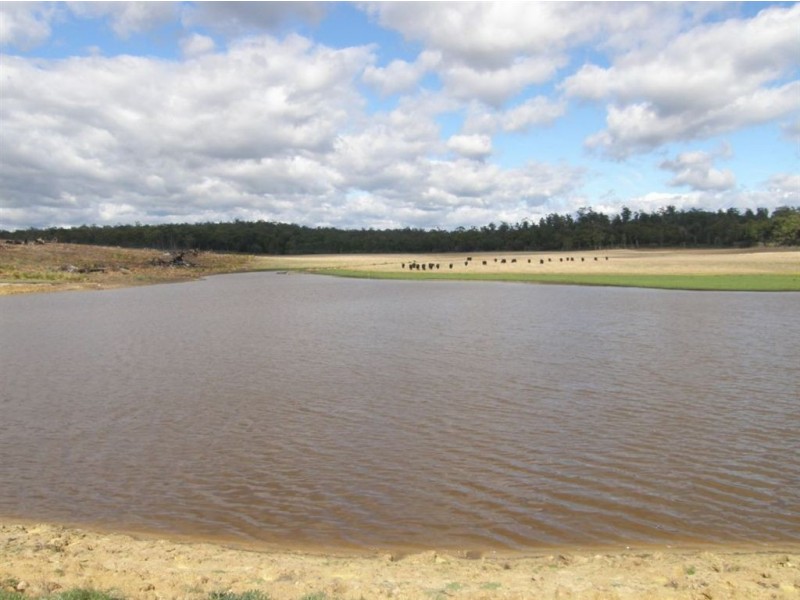 . Bridport Road, Bridport TAS 7262