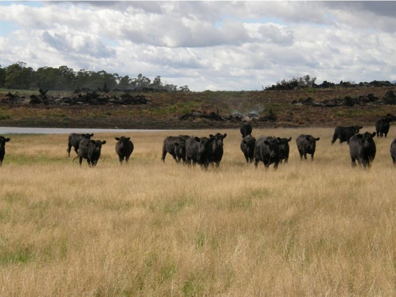 . Bridport Road, Bridport TAS 7262