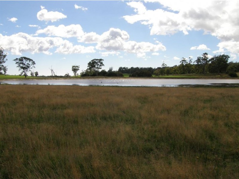 . Bridport Road, Bridport TAS 7262