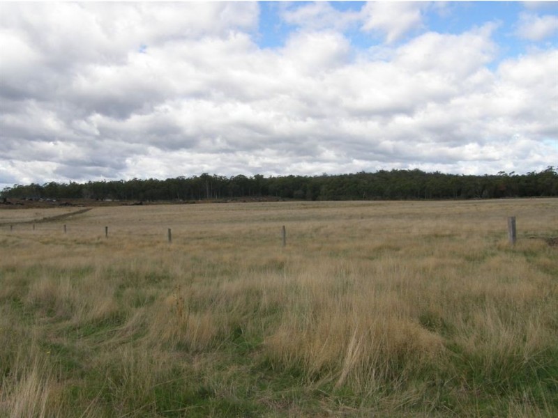 . Bridport Road, Bridport TAS 7262