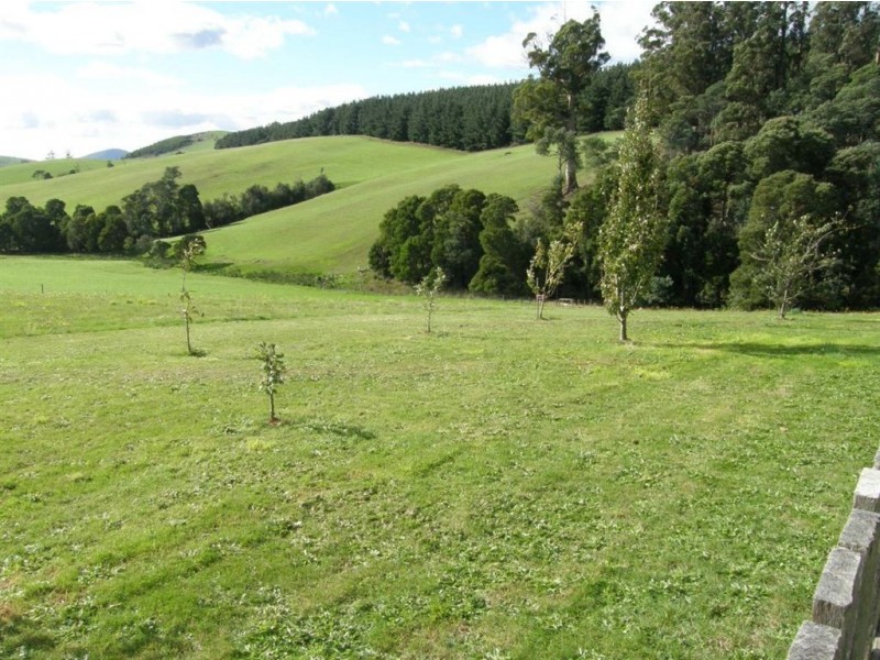 37 Beatties Road, Springfield TAS 7260