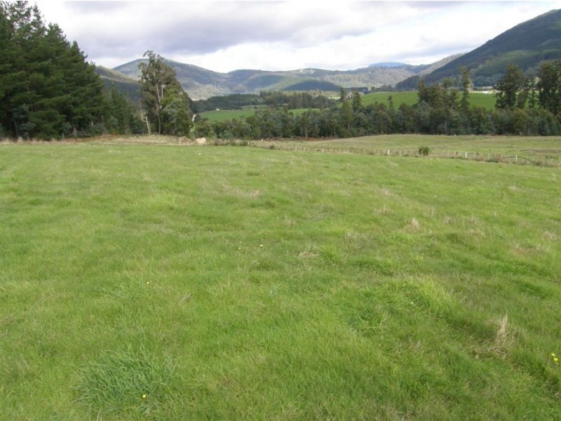 37 Beatties Road, Springfield TAS 7260