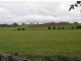 11 Wattle Grove, Winnaleah TAS 7265