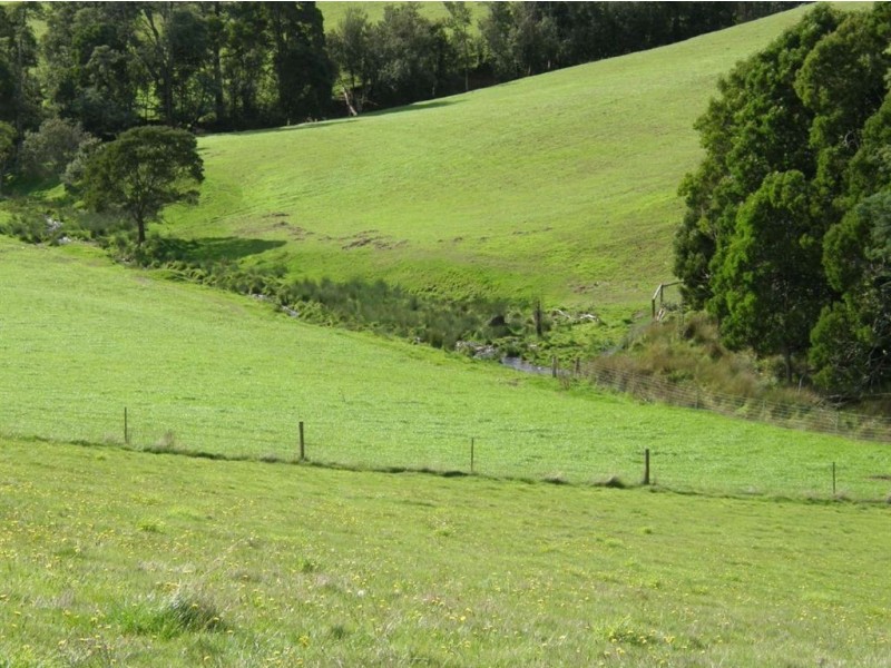 37 Beatties Road, Scottsdale TAS 7260