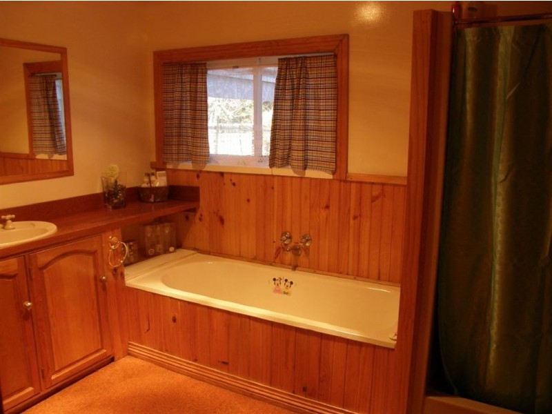 53 Arthur Street, Scottsdale TAS 7260