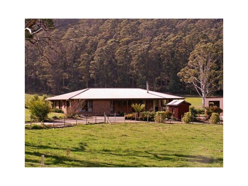 158 Buckneys Road, Scottsdale TAS 7260