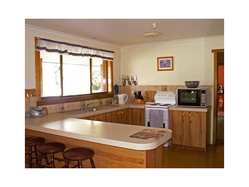 158 Buckneys Road, Scottsdale TAS 7260