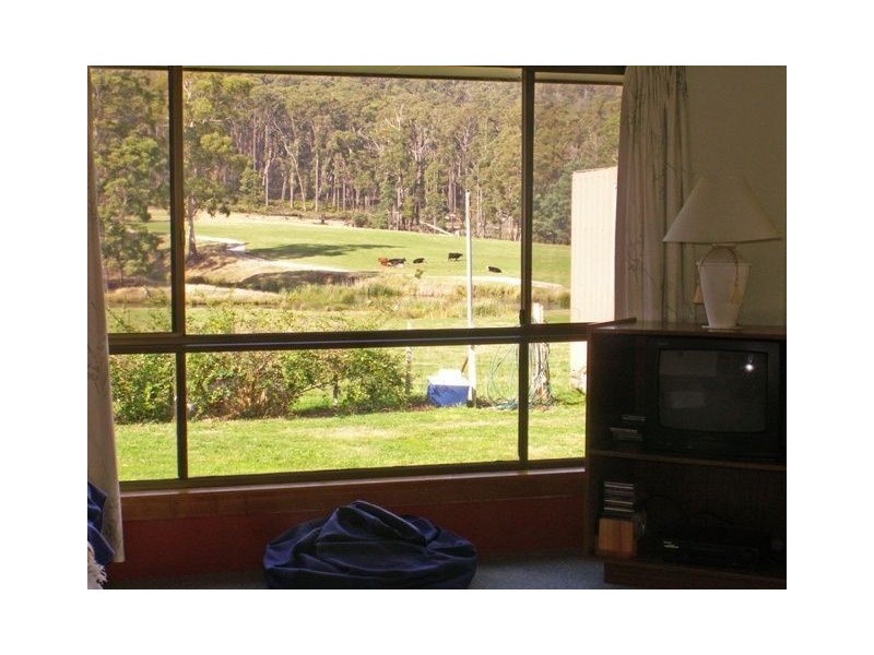 158 Buckneys Road, Scottsdale TAS 7260